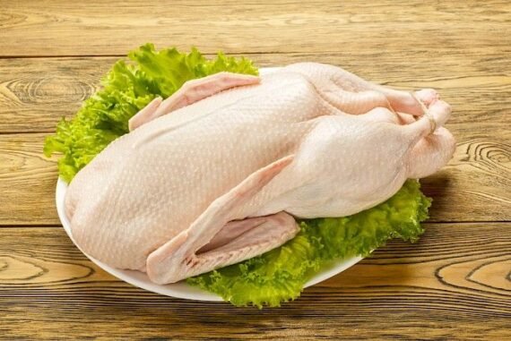Duck