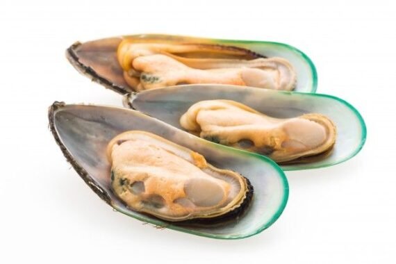 Oyster | சிப்பி (Deshelled and cleaned)