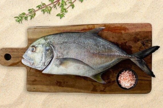 Thenga Paarai | தேங்காய் பாரை |Trevally (cleaned) Big
