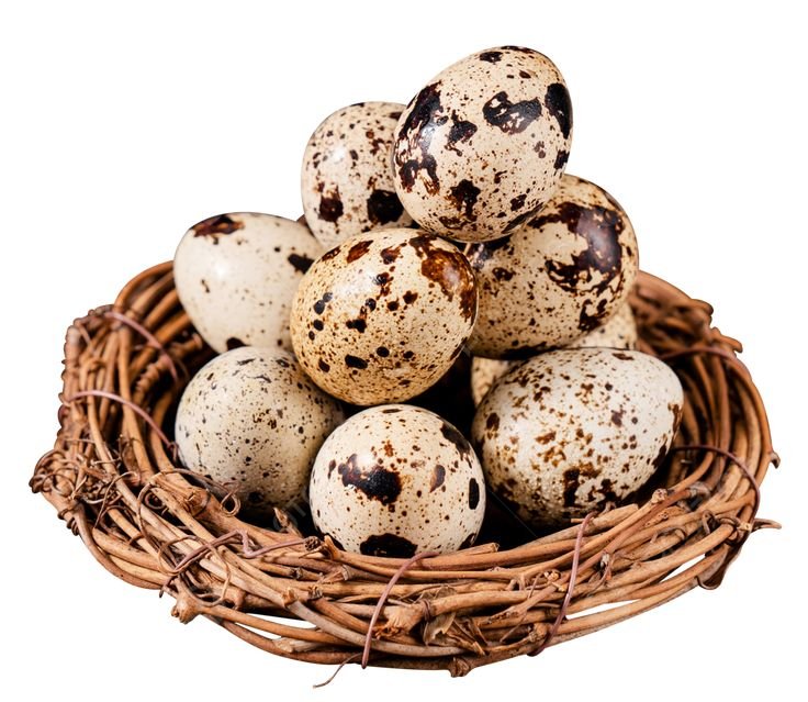Quail | Kaadai Eggs