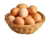 Brown Eggs
