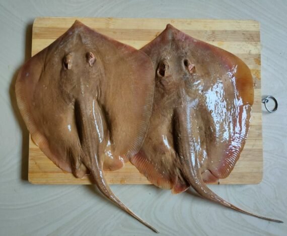 Thirukkai | திருக்கை | string ray (cleaned)