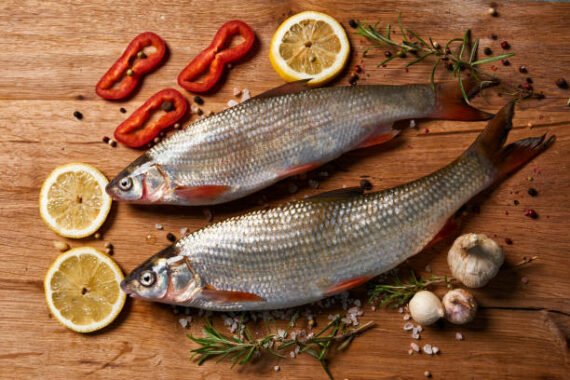 மாடவை | Madavai | Mullet fish (Sliced)