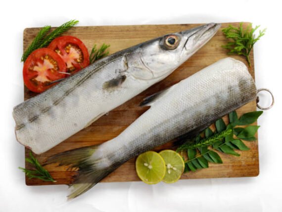 Seela | சீலா | Barracuda (sliced)