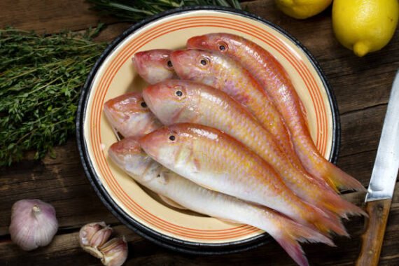 Navarai | நாவரை | red snapper (cleaned)